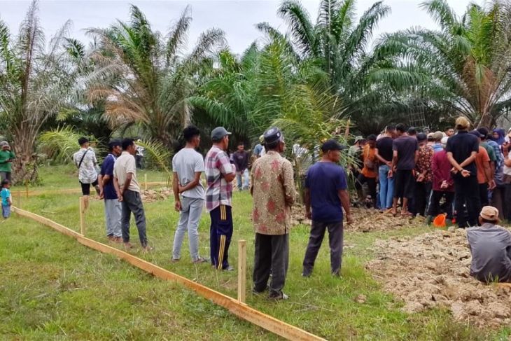 Ribuan pekerja kebun PTPN IV Aceh alami tekanan ekonomi akibat penjarahan