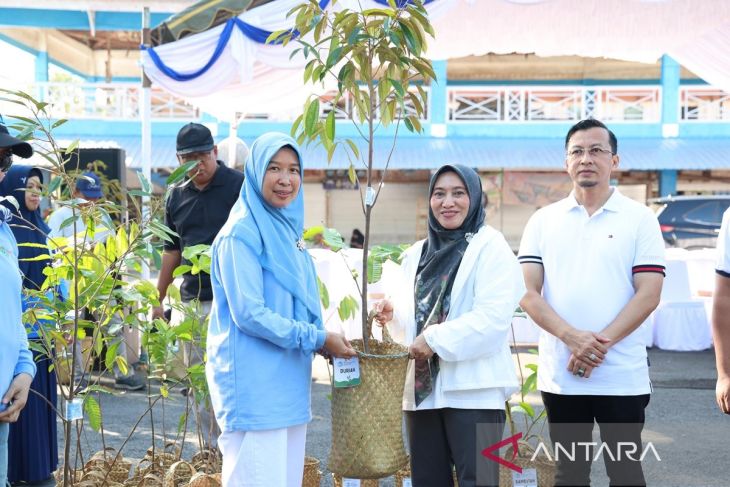 Tanah Bumbu perkuat ketahanan iklim melalui gerakan penghijauan