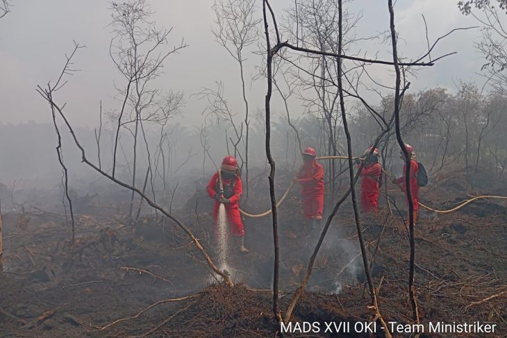 BNPB tanggulangi ribuan hektare karhutla di Kalbar, Riau, dan Sumsel