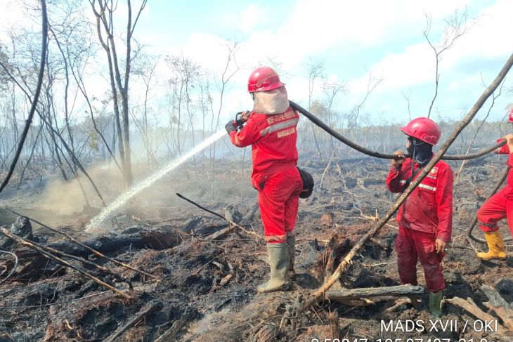 BNPB tangani karhutla ribuan hektare di Kalbar, Riau, dan Sumsel