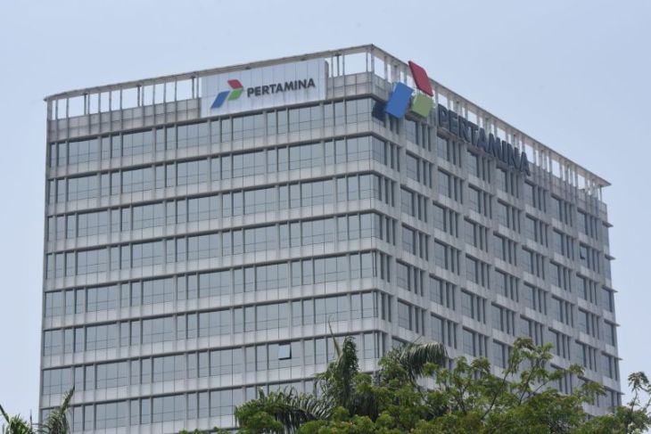 Pertamina tata 31 anak usaha