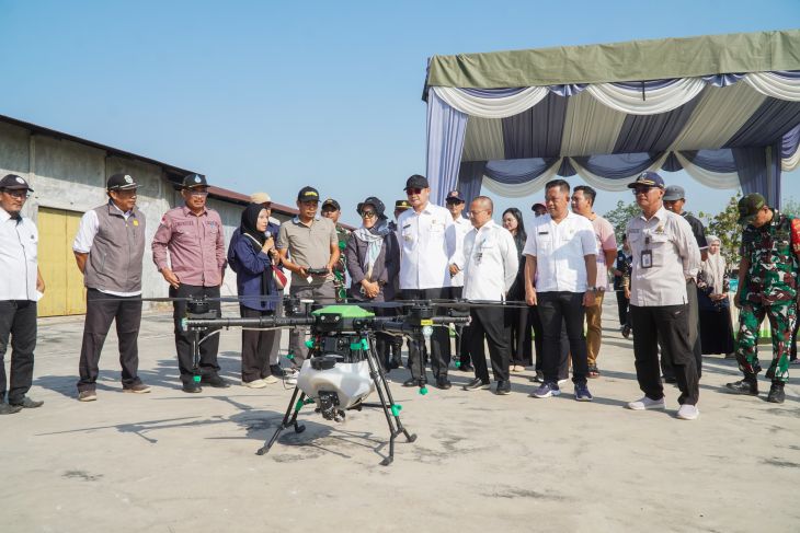 Pemkab Lamongan lakukan pengendalian wereng serentak di 19 kecamatan