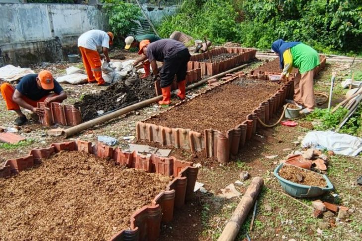 FKM UI manfaatkan lahan terbengkalai jadi urban farming di Cipayung Jaktim