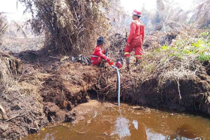 Kebakaran lahan di Aceh Selatan meluas capai 25 hektare