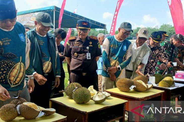 Festival durian jerieng dorong Pelangas jadi destinasi wisata durian unggulan Babel