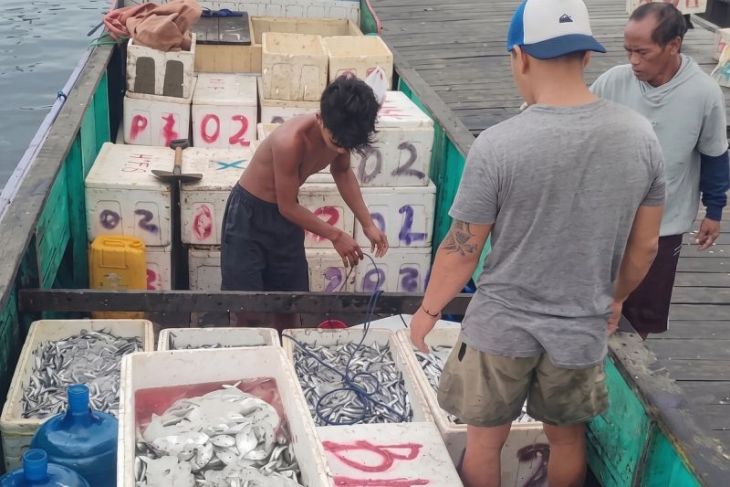 DKP garap Kampung Nelayan Merah Putih angkat ekonomi pesisir Kaltim