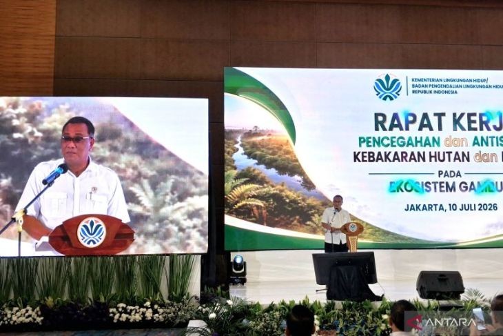 Menteri LH: Perusahaan pemilik konsesi wajib jaga lahan dari karhutla