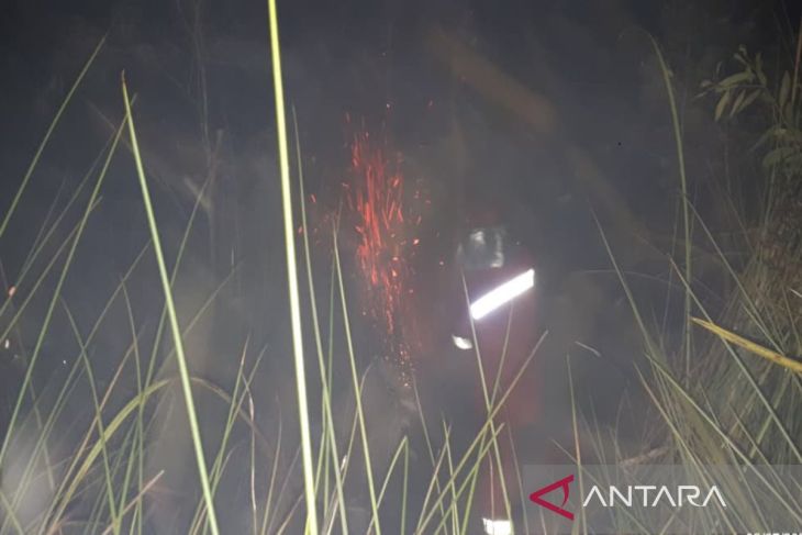 Tim Kemenhut padamkan karhutla di Tala sebelum meluas