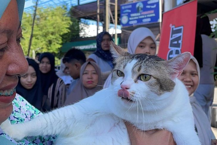 Serunya "fun day" yang menyatukan pecinta kucing di Banda Aceh