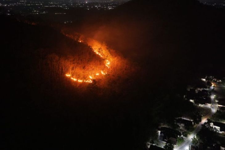 Kebakaran Gunung Gombak Ponorogo hanguskan 15 hektare hutan dan lahan