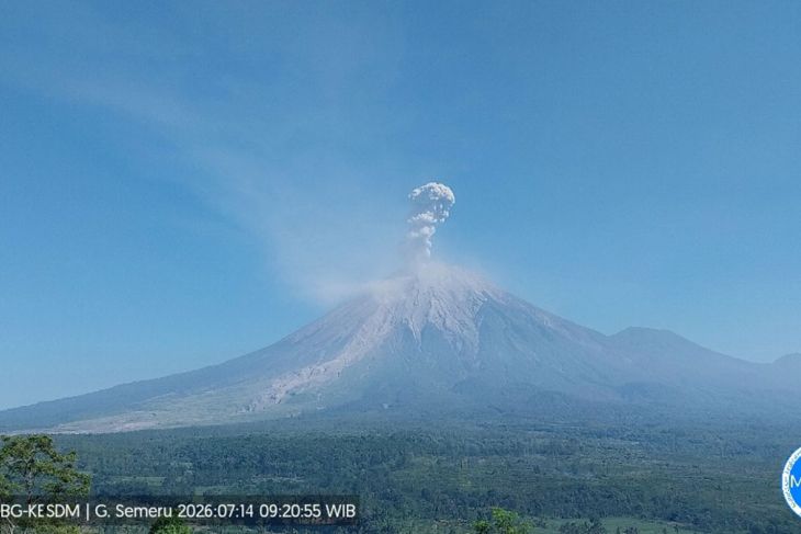 Semeru erupsi, tinggi letusan hingga 1,3 km di atas puncak