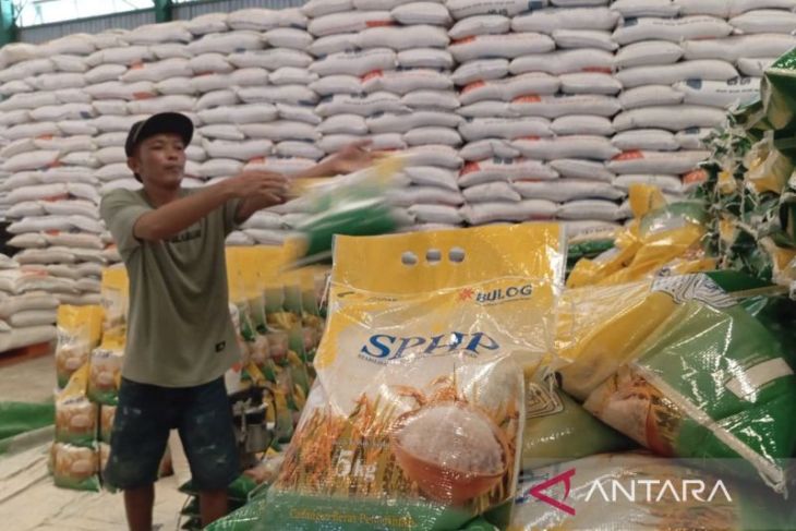 Pemkab Kutim perkuat kemandirian pangan berbasis keluarga hadapi kemarau