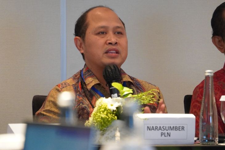 PLN fast-tracks Bali's energy independence push
