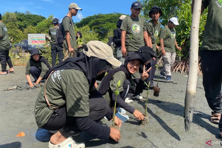Lestarikan lingkungan, BPMA dan Medco tanam 1.000 mangrove di pesisir Banda Aceh