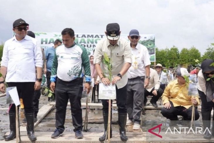 Pemprov Kaltim perkuat komitmen dukung pelestarian mangrove wilayah pesisir