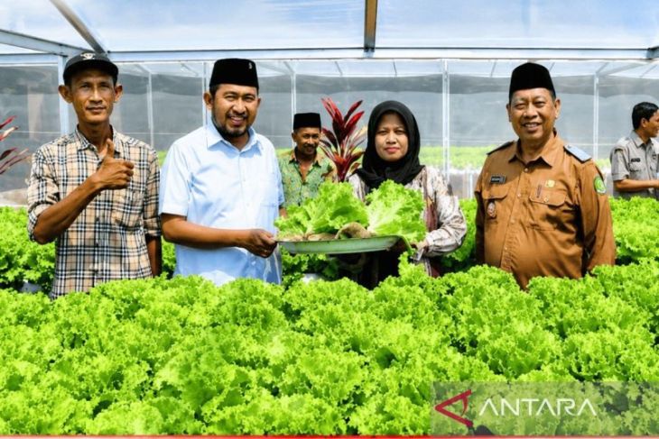 Pemkab Sumenep kembangkan usaha pertanian hidroponik