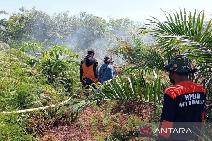 BPBD Aceh Barat pacu pemadaman karhutla di empat kecamatan