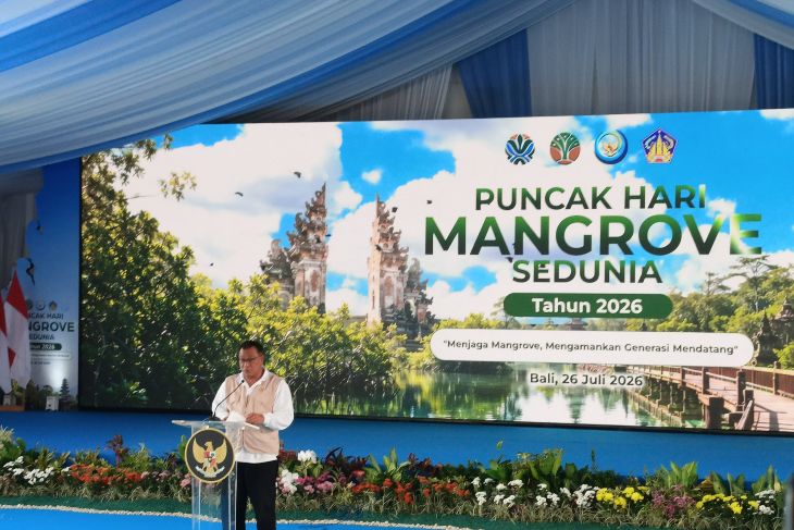 Menteri LH: Mangrove berpotensi jadi mesin pertumbuhan ekonomi hijau