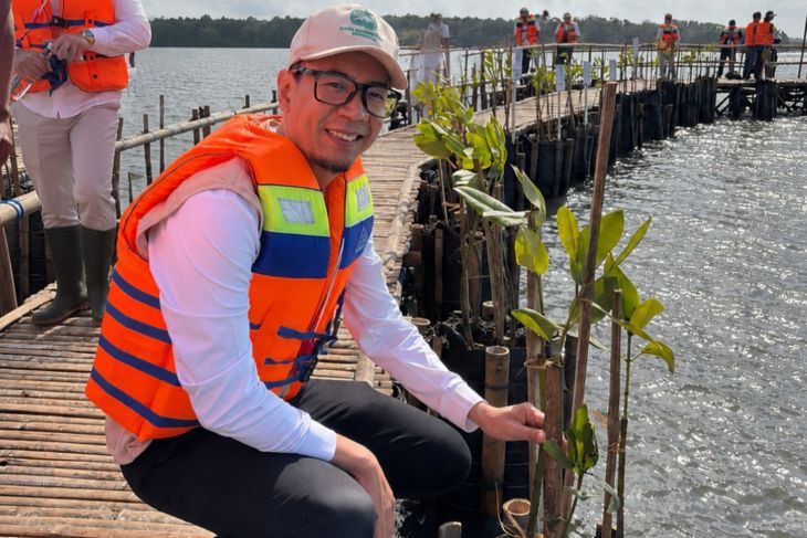 PLN IP kembangkan Batu Lumbang Bali sebagai ekowisata berkelanjutan