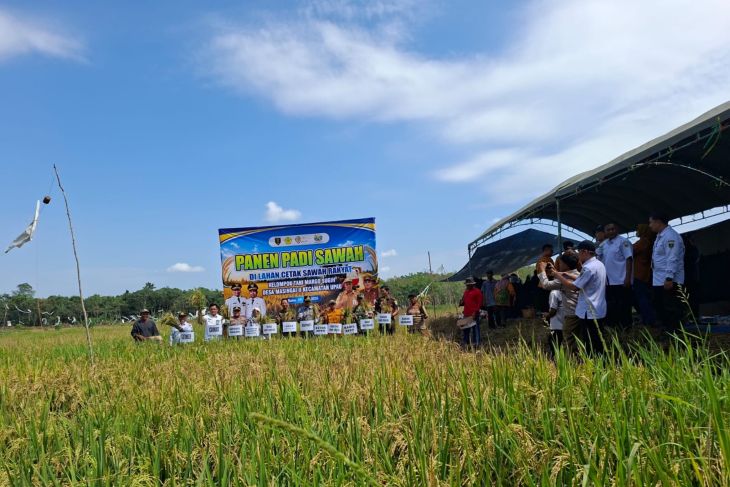Kelompok Tani Desa Masingai II panen perdana di lahan CSR