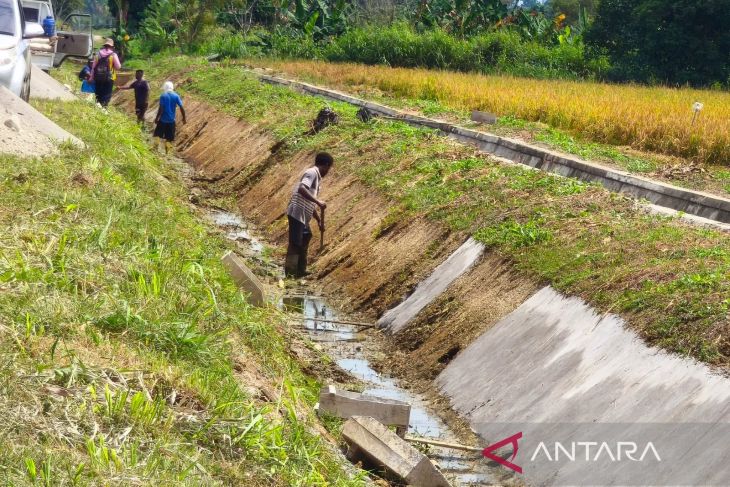 Balai Sungai Papua rehabilitasi 2,8 kilometer saluran utama irigasi di Nabire