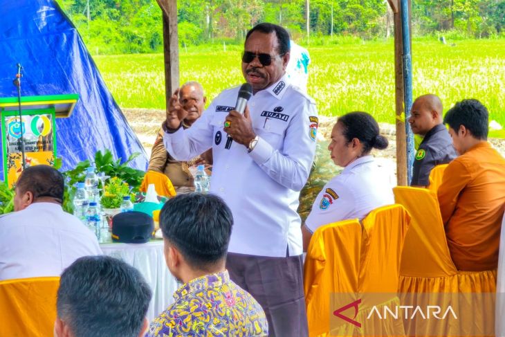 Nabire siapkan sentra sawah baru antisipasi alih fungsi lahan