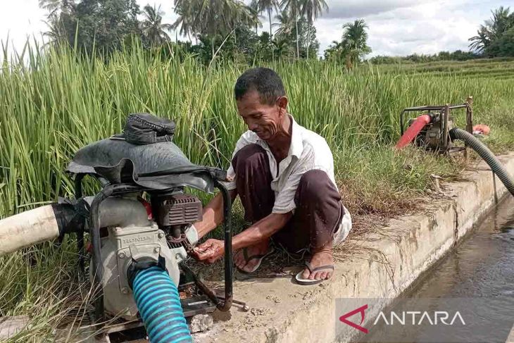 Petani Aceh Besar gunakan pompa airi areal persawahan atasi kekeringan