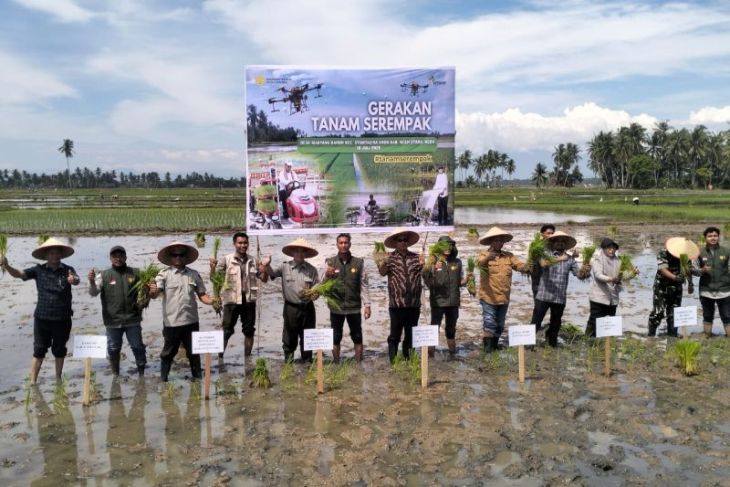 Pemkab Aceh Utara gencarkan tanam padi serempak