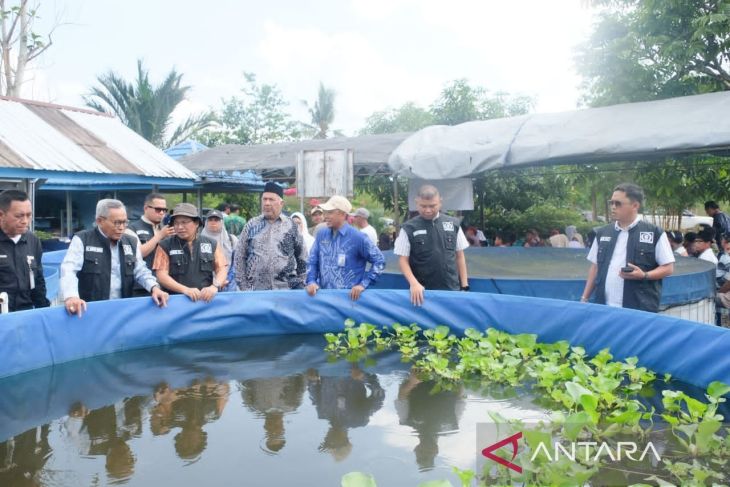 Komisi II DPRD Kalsel dorong penguatan budidaya haruan