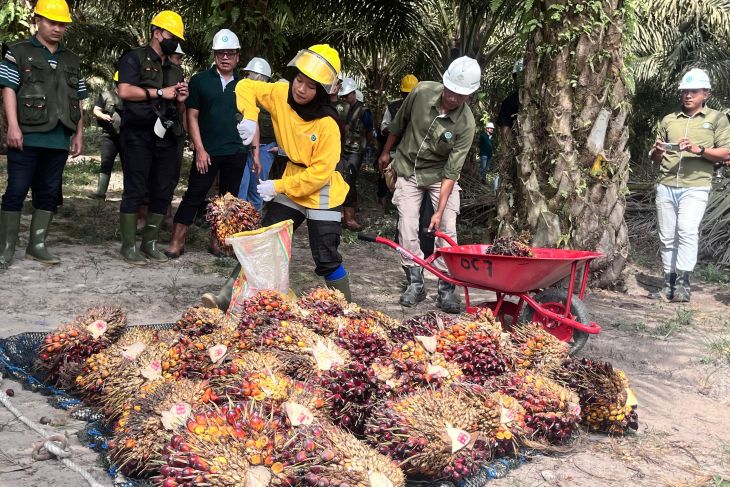 Astra Agro: Pupuk hayati dipakai pada kebun sawit untuk kurangi emisi