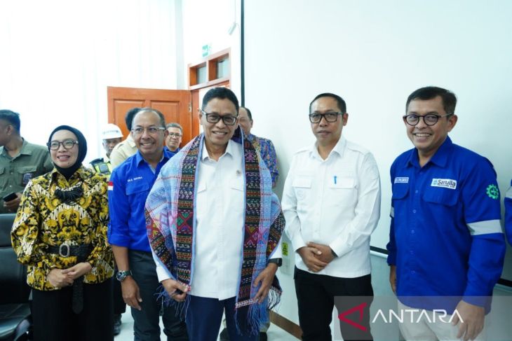 Wamen ESDM tinjau potensi pengembangan proyek panas bumi Sarulla di Tapanuli Utara