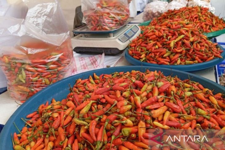 BI Kaltim dan TPID tekan inflasi melalui kelancaran distribusi pangan