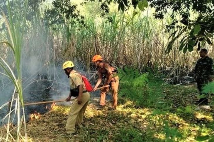 BPBD Magetan ingatkan jangan sembarangan nyalakan api di area mudah terbakar