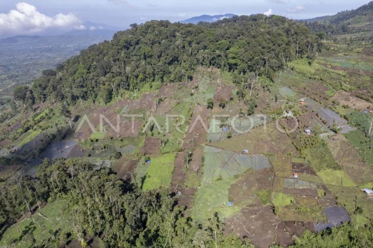 Penguasaan lahan tanpa izin di Gunung Kerinci