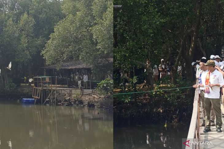 Kemenhut lepasliarkan 15 burung air di TWA Angke