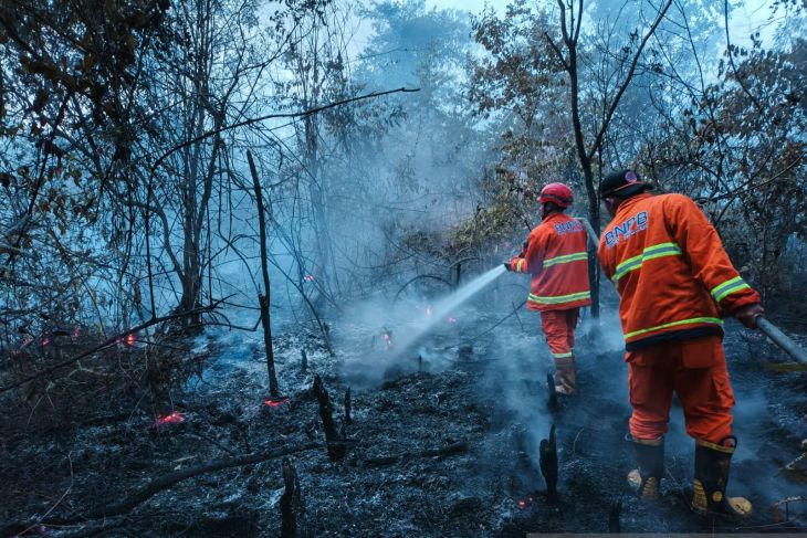 Kebakaran lahan dua hektare di Desa Pelayangan Kabupaten Batang Hari