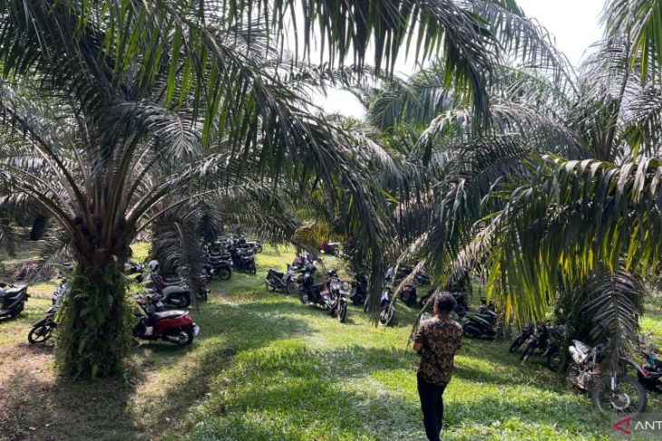 Pemkab Batang Hari dorong petani manfaatkan kuota PSR