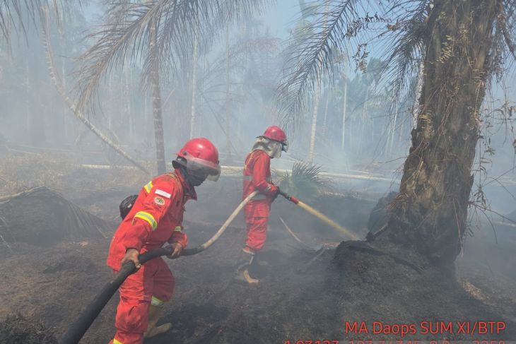 Satgas Karhutla Jambi berjibaku padamkan areal gambut Desa Muntialo