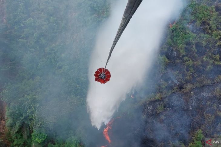 Satgas Karhutla Jambi apresiasi peran aktif PT WKS dalam penanganan karhutla