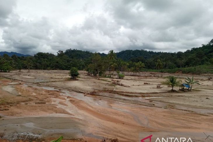 Banjir bandang hancurkan 50 hektare sawah di Anggoli, petani minta irigasi dipulihkan
