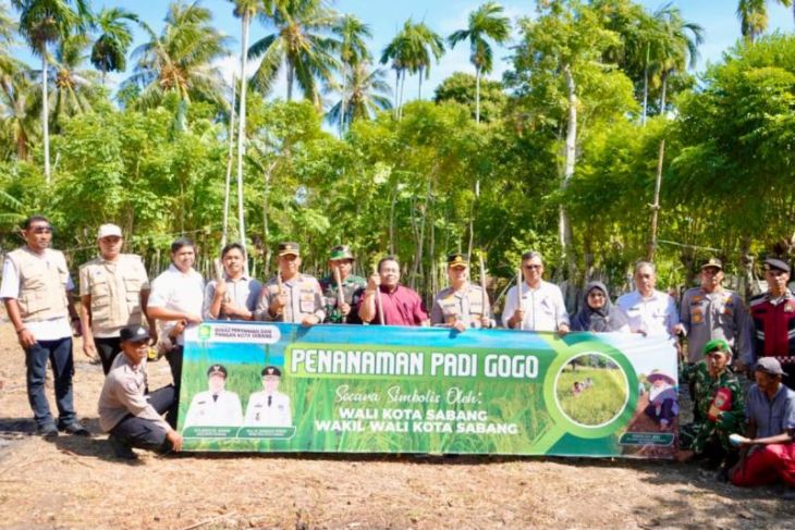 Pemko Sabang optimalkan lahan kosong untuk pengembangan padi Gogo