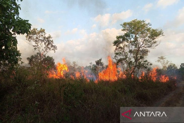 Enam titik panas terdeteksi di Kabupaten Tanah Bumbu pada Rabu siang