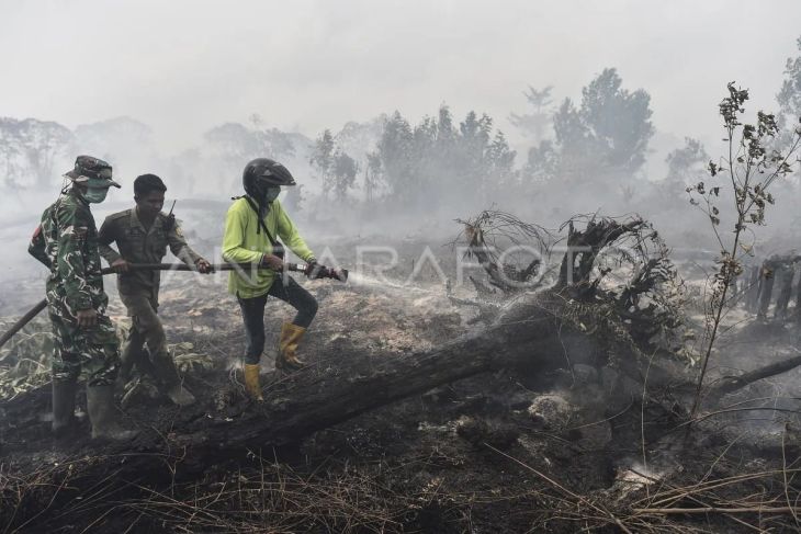 Pemadaman karhutla di Tanjung Jabung Timur
