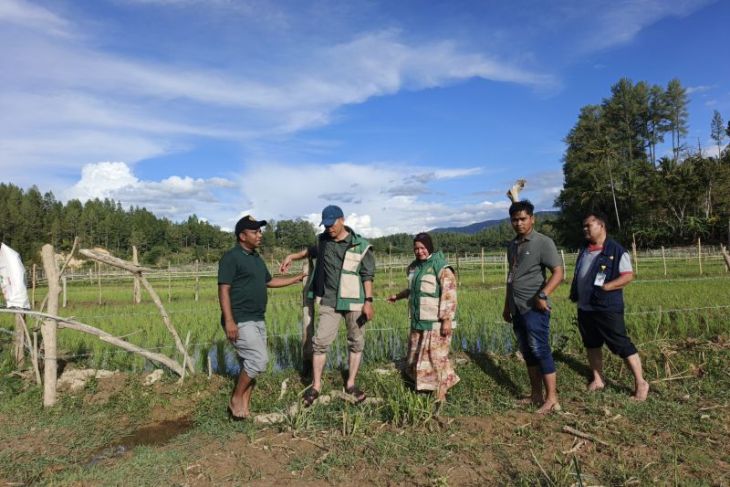 BRMP Aceh monitoring program strategis Kementan di Gayo Lues