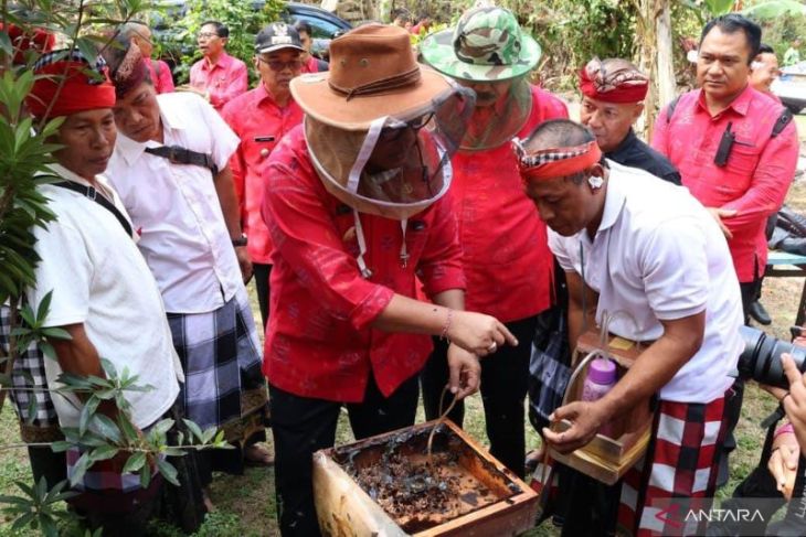 Bungan Desa ke-64, Bupati Sanjaya: Perkuat potensi pertanian hingga pariwisata kelas dunia