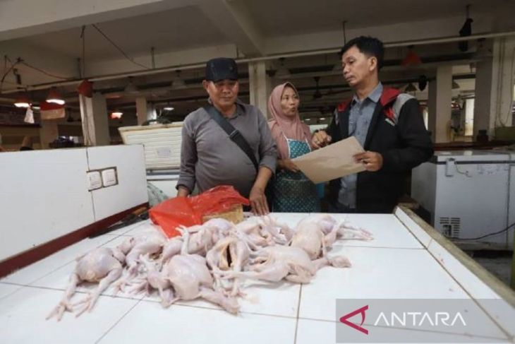 Cek harga daging ayam sesuai HAP, Pemkot Tangerang terjunkan tim khusus