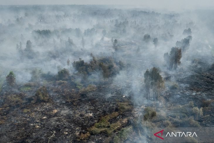 BPBD: Karhutla di Kalimantan Selatan capai 12.339 hektare