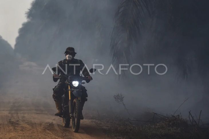 Penanganan karhutla di lahan gambut Muaro Jambi