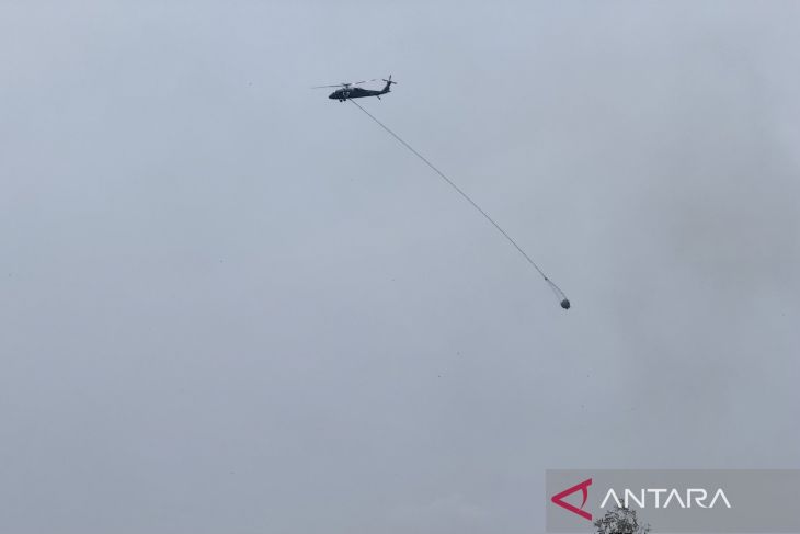Pemprov Kalsel intensifkan 200 personel tangani karhutla Guntung Damar