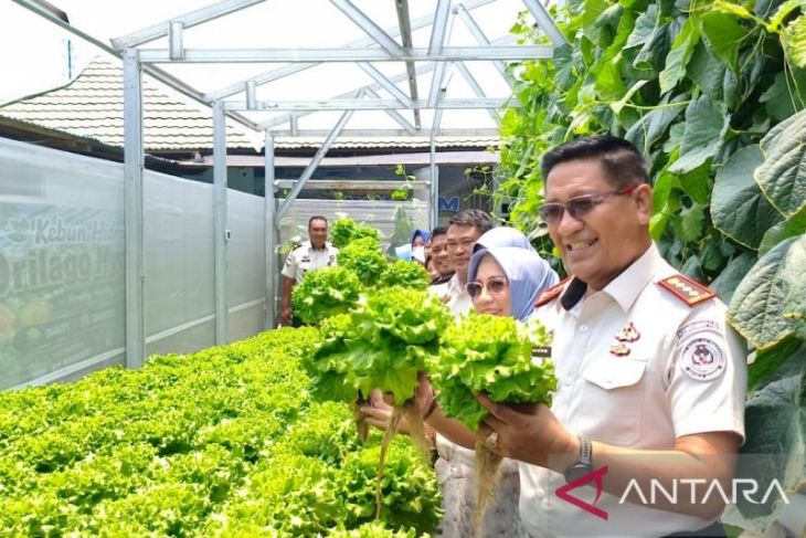 Lapas Gorontalo panen perdana komoditas premium untuk ketahanan pangan